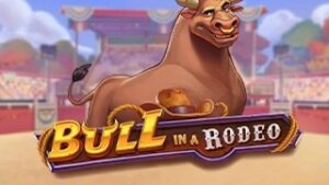 Bull in a Rodeo