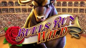 Bulls Run Wild
