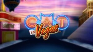 Cat in Vegas