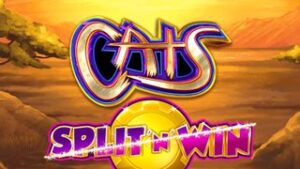 Cats Split ‘n’ Win