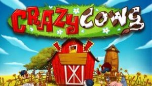 Crazy Cows
