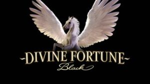 Divine Fortune Black