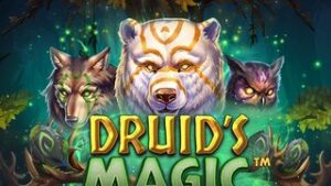 Druid’s Magic