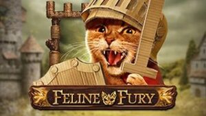 Feline Fury