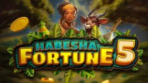 Habesha Fortune 5