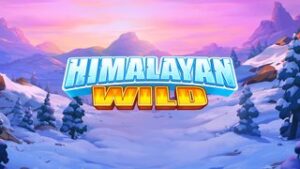 Himalayan Wild