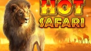 Hot Safari