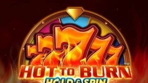 Hot to Burn Hold & Spin