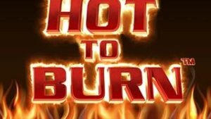 Hot to Burn