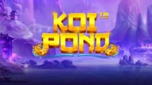 Koi Pond