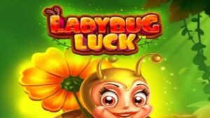 Ladybug Luck