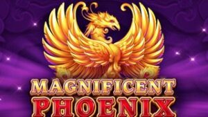 Magnificent Phoenix