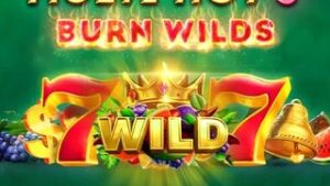 Multi Hot 5 Burn Wilds