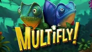 MultiFly!