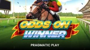 Odds On Winner