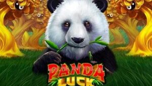 Panda Luck