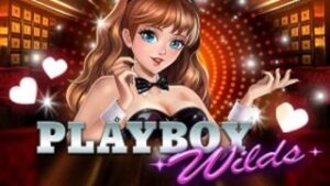 Playboy Wilds