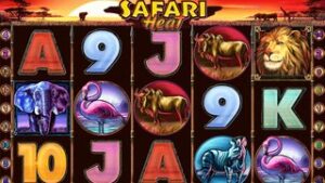 Safari Heat