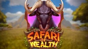 Safari of Wealth