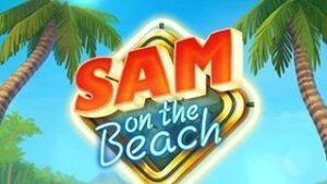 Sam on the Beach