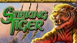 Striking Tiger