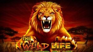 The Wild Life Extreme