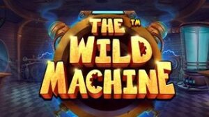 The Wild Machine