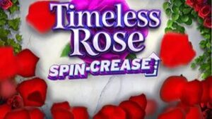 Timeless Rose