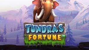 Tundra’s Fortune