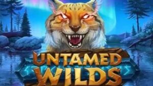 Untamed Wilds