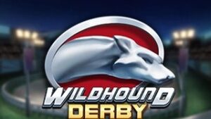 Wildhound Derby