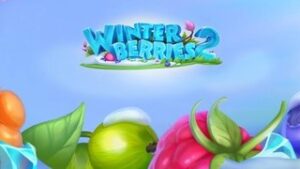 Winterberries 2