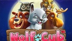 Wolf Cub