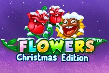 Flowers Christmas Edition