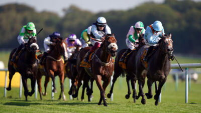 Bargain buy Regional set Breeders Cup target