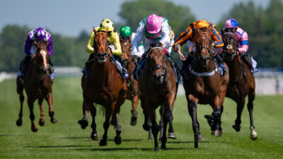 Lockinge Stakes Trends 2026: Primary Stats for Newbury One-Mile Group 1