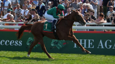 St James’s Palace Stakes awaits French 2000 Guineas hero Rayif