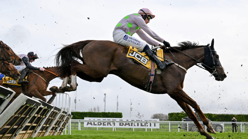 Selma De Vary off the mark for Closutton on return to Auteuil