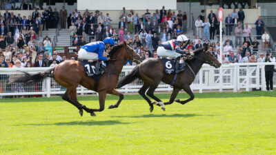 ‘David vs Goliath’ as Night In Vegas set Coventry Stakes target