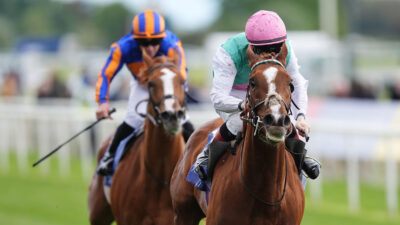 Racing news: Item advertises Derby claims after See The Fire double – Friday 15 May