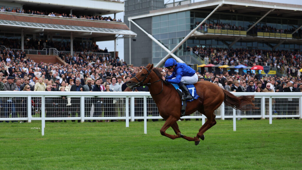 Newbury & Yarmouth Racing Tips - Joe Napier's Lucky 15 Tips for Thursday 11 June