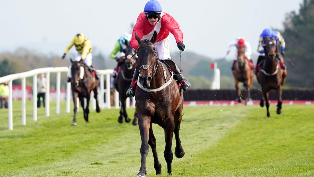 Leading bloodstock agents clash for Allaho relation 