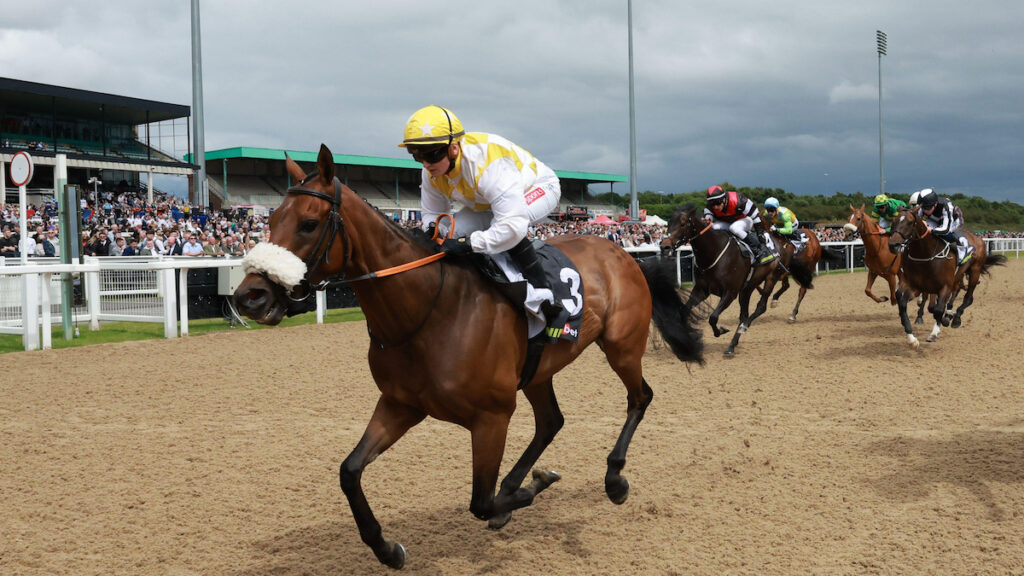 Newcastle & York Racing Tips - Joe Napier's Lucky 15 Tips for Saturday 27 June