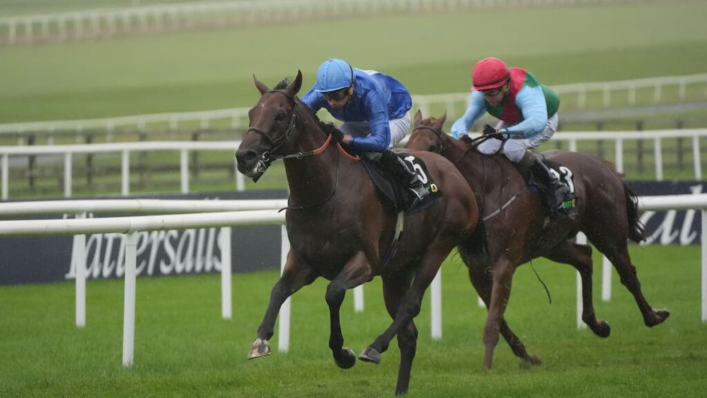 Royal Hunt Cup Tips, Odds, Racecard & Trends 2026: 50/1 outsider to land shock Royal Ascot win