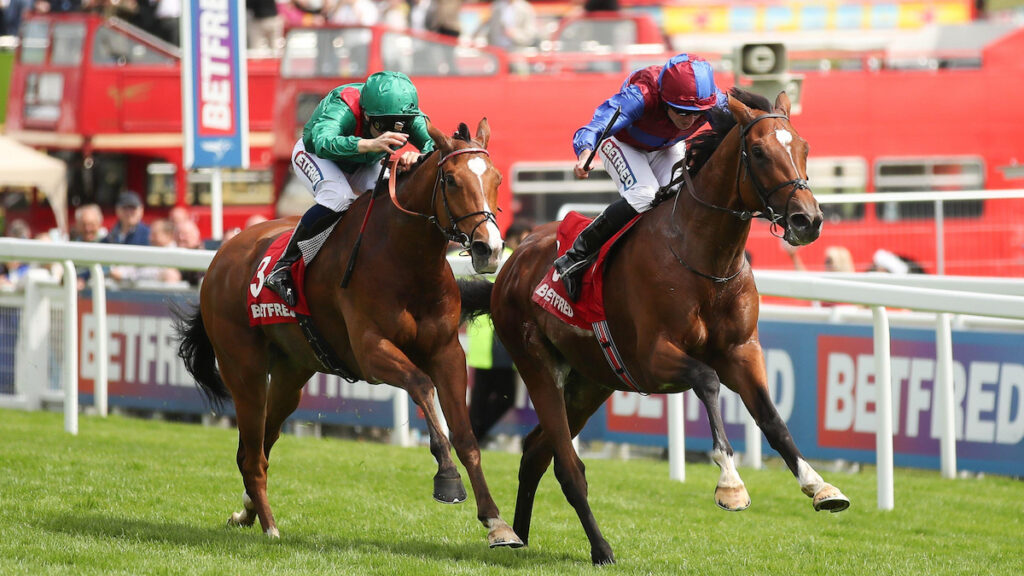 Coronation Cup tips, odds, racecard & trends 2026: Calandagan can gain revenge in rematch