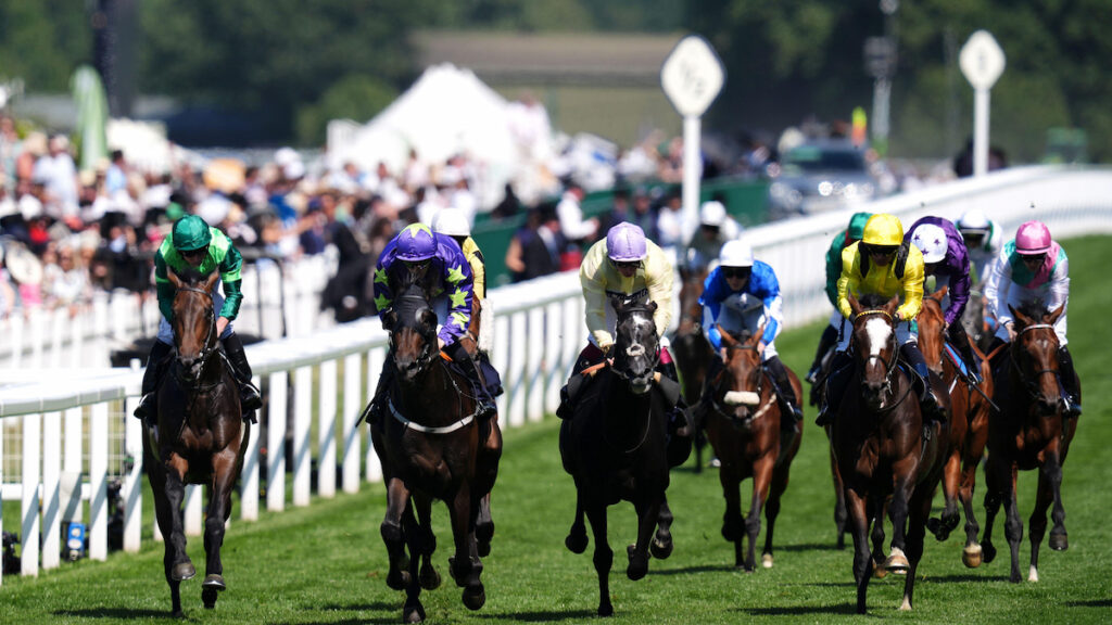 17 entered for Group 2 Queen’s Vase Stakes