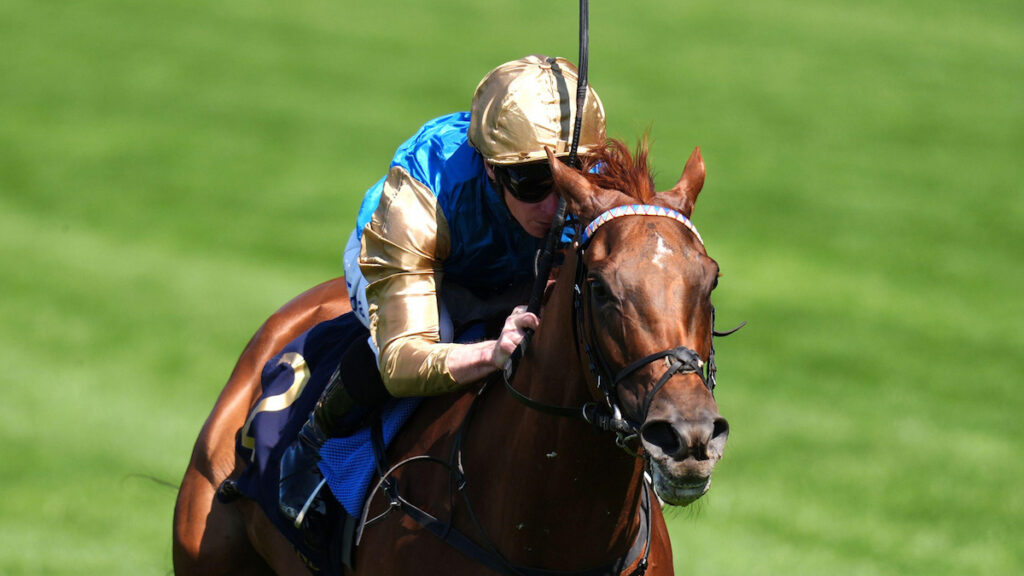 Wathnan Racing retain services of James McDonald for Royal Ascot 