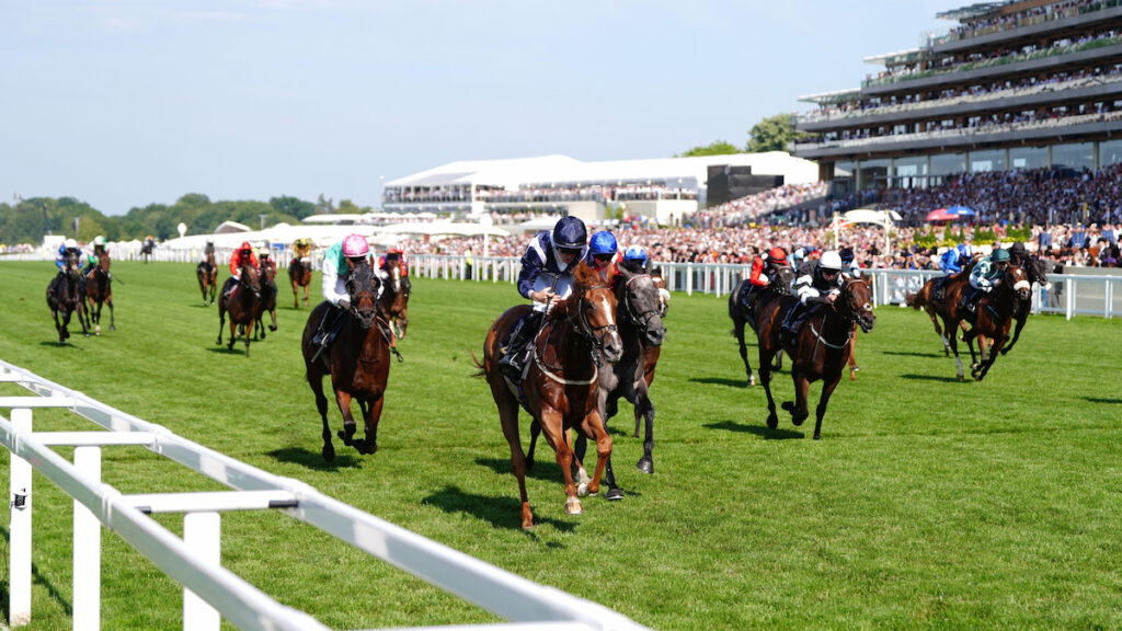 Royal Ascot Racing Tips - Joe Napier's Lucky 15 Tips for Wednesday 17 June