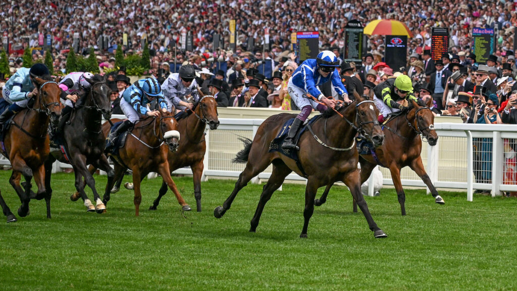 Andrew's Angles - Royal Ascot Day 4 & 5 Round-Up
