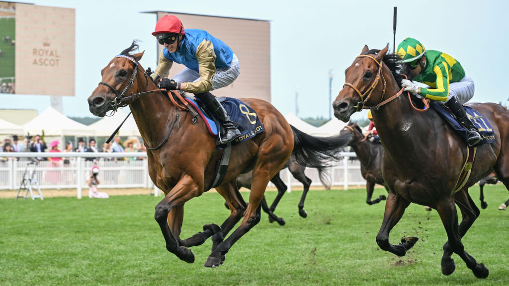 Royal Ascot Day 5 Trends 2026: How to play the final day at Ascot